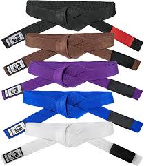 Fuji Adult BJJ Belts